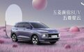 五菱全新SUV曝光，采用5座设计，搭载2.0L，将于下半年上市