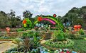 春去夏至 成都市植物园2023年春花展落幕