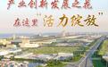 高质量发展调研行|产业创新发展之花在这里“活力绽放”