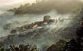 景迈山古茶林为何成为“世遗”？群艺馆这个摄影展告诉你