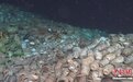 南海1500米深度发现两处古代沉船 高科技支撑开展首次深海考古
