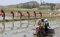 朝鲜计划几年内实现农业生产根本变革，外媒：朝粮食形势严峻