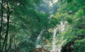 《凤游四川》——邛崃市天台山，与萤光森林的不期而遇