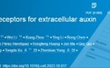 重要发现！福建农林大学团队揭示胞外生长素新受体
