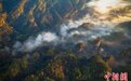 遇见如诗如画武夷山 雾锁山头山锁雾