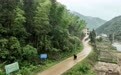 60年时光，我带哥哥寻找光明