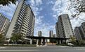 实探苏州85亿“毒地块”：芦苇生长得比围墙还高，池塘的水已泛黑色