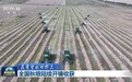 收割好“丰”景 各地陆续开镰确保秋粮颗粒归仓