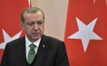 埃尔多安：土耳其如今对欧盟已没有任何期待