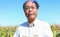 “中国杂交谷子之父”赵治海：“藏粮于畜”，提升中国粮食安全