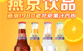 燕京汽水——借势国货复兴 燕京入局汽水赛道