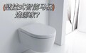 GEBERIT吉博力、科勒、TOTO等大牌云集，壁挂智能马桶哪个品牌好一些？