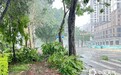 登陆不是结束！福建今日进入风雨最强时段，大范围狂风大暴雨来袭