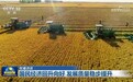 【权威访谈】国民经济回升向好 发展质量稳步提升