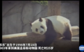 旅美大熊猫“乐乐”突然在美离世，中美将联合调查死因，我驻美大使馆发声