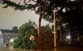 直击台风“泰利”登陆广东湛江