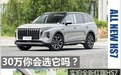 30万的中大型SUV，你会选它吗？实拍全新红旗HS7