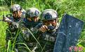武警广西百色支队官兵开展丛林地反恐演练