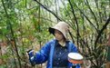 广东率先完成850个森林样地外业调查