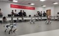 云深处与昇腾CANN联合开展ROS四足机器狗开发训练营