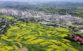 甘肃积石山：大地“镶金”扮靓和美乡村