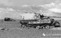 意大利战场上的“象”式重型坦克歼击车（1）