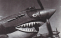 美国 Curtiss P-40 战斗轰炸机