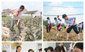 上海推进中小学劳动教育多样化，建设两千余家社会实践基地
