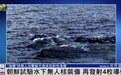 #朝鲜宣布举行多项军事训练活动#【朝鲜试验核无人潜水攻击艇，可攻击敌