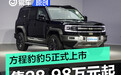 方程豹豹5正式上市 售价28.98万元起