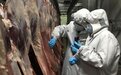 甘肃一季度冷冻羊肉产品出口同比增4倍：需求订单持续激增