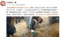 扬州暴雨积水疯狂涌进公交内