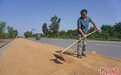 河南新乡：芒种时节 农民忙晒麦
