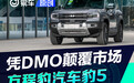 硬派SUV新品类--方程豹汽车豹5凭DMO颠覆市场