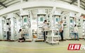 丝路溢彩“岳家军”②|岳阳电磁的凤凰涅槃