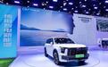 新能源车的武林大会，这家车企凭什么成了全场的关注C位？