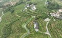 宜宾叙州：月底七星山水蜜桃“甜蜜”上市
