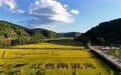陕北·老区新貌|新时代南泥湾：变的是生活 不变的是精神