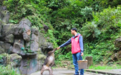 峨眉山招15名“猴官”，景区：负责猴群喂养和管理，海拔越高待遇越好
