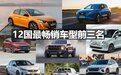 开眼看世界！12国最畅销车型销量前三名，总有一个让你意外