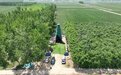 “黄金热”又传利好消息：山东发现世界级大金矿