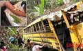 “杀人蜂”杀人！一公交车出车祸撞上蜂箱，6人被蜇身亡，幸存者有数百处伤痕