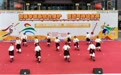 2023年昌都市“文化和自然遗产日”宣传展示活动暨非遗购物节开幕