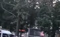 江苏邳州一垃圾桶发现疑似人体头盖骨，当地回应称近期没有命案警情