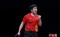 WTT官方：樊振东因伤退出2023WTT球星挑战赛兰州站比赛
