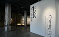日本艺术家盐田千春作品在重庆展陈 以艺术的力量挖掘现代工业历史文化价值