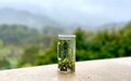 为中国茶文化赋能  杭州渤兰湾茶业有限公司融合传统技艺与现代科技为一体