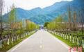 乡贤组团建最美农村路 促风景变“钱景”