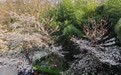 赏樱观景、快闪打卡…上海虹口打造环虹口足球场文化消费圈