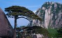 多地旅游景点推出门票减免优惠政策，旅行社跟团产品降价二至三成